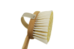 Badebürste